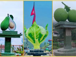 Fruit and Vegetable Statues in Dhankuta