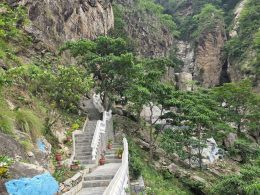 Monkey-racing cliff