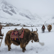 Early winter snowfall blankets the Himalayan mountain range in Nepal, including Mount Everest and Annapurna, disrupting tourism and daily life.