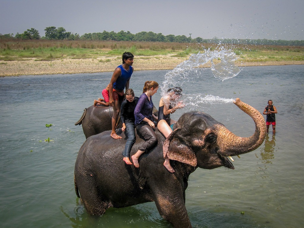 Elephant Safari Chitwan National Park