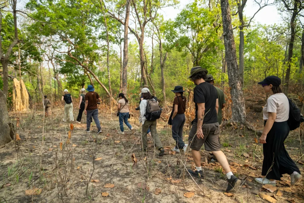 Members of a community forest user group walking a patrol route through regenerating corridor forest in Bardia district