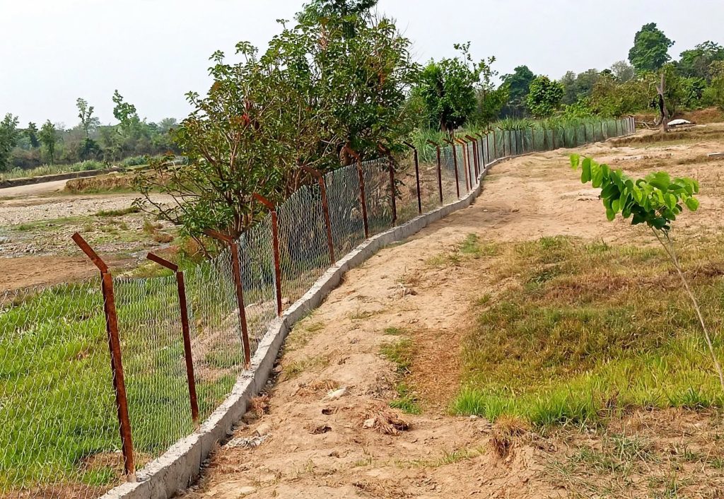 Farmland bordering corridor forest with an electric fence line and a watchtower in Bardia district