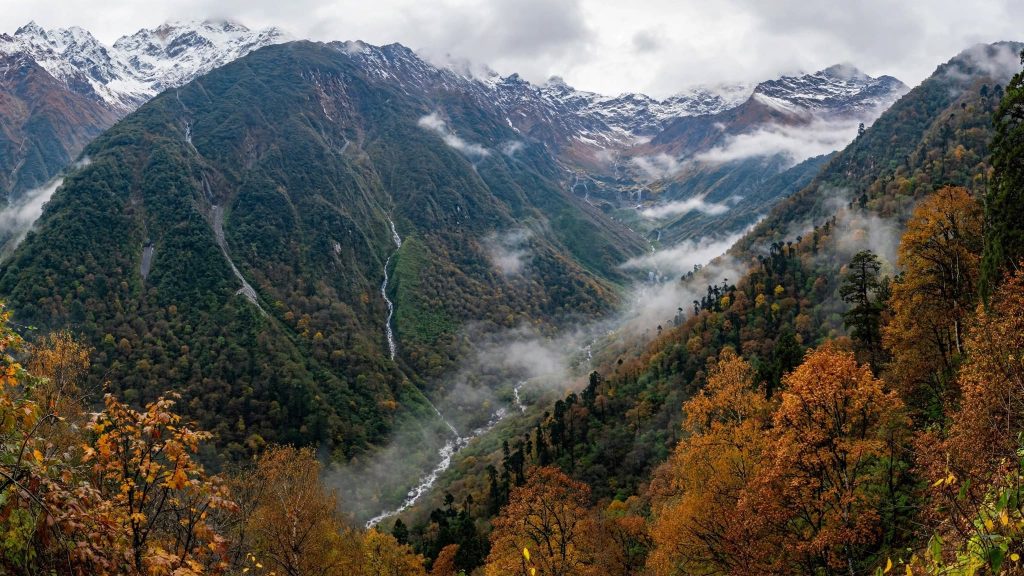 Ridge of temperate forest in Taplejung with cloud filling the valley below and higher peaks beyond